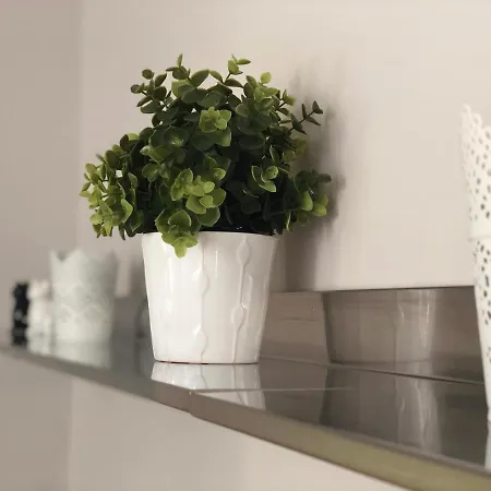 公寓 Arche De Noe 科尔马