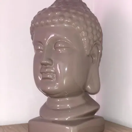 Arche De Noe 科尔马