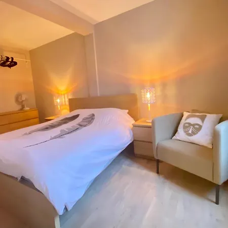 公寓 Arche De Noe 科尔马