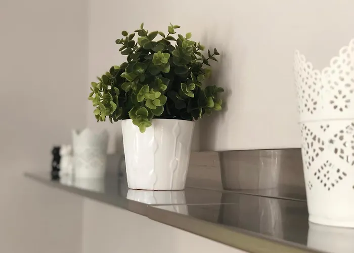 Apartment Arche De Noe Colmar